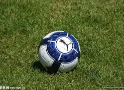 塔影留痕,周年之际,遗孀温情分,皇冠·体育,HG官方,CROWNSPORTS,皇冠体育官网,HG体育平台,皇冠即时比分,皇冠数据,皇冠APP,皇冠娱乐,皇冠竞猜