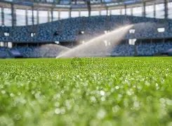 董方卓揭秘,奥运封闭战,痛楚,皇冠·体育,HG官方,CROWNSPORTS,皇冠体育官网,HG体育平台,皇冠即时比分,皇冠数据,皇冠APP,皇冠娱乐,皇冠竞猜