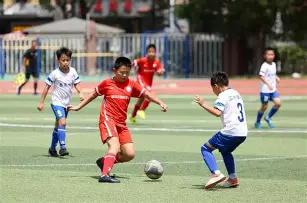 新任海牛队,主教练里斯,蒂奇青岛报,皇冠·体育,HG官方,CROWNSPORTS,皇冠体育官网,HG体育平台,皇冠即时比分,皇冠数据,皇冠APP,皇冠娱乐,皇冠竞猜