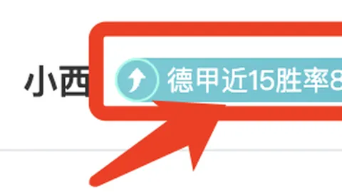 丹-伯恩：伊萨克赞誉助力夺冠，展望未来信心满满