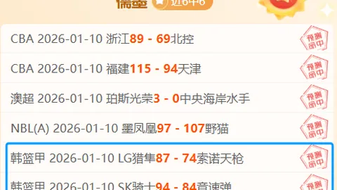 火箭核心申京赛场绽放，冬日赛场温暖如春